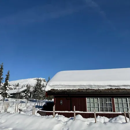 Koselig Sentralt Pa Skeikampen 度假居 *